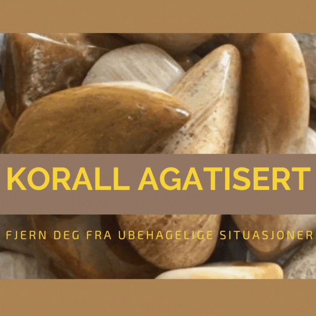 Korall Agatisert Lommestein
