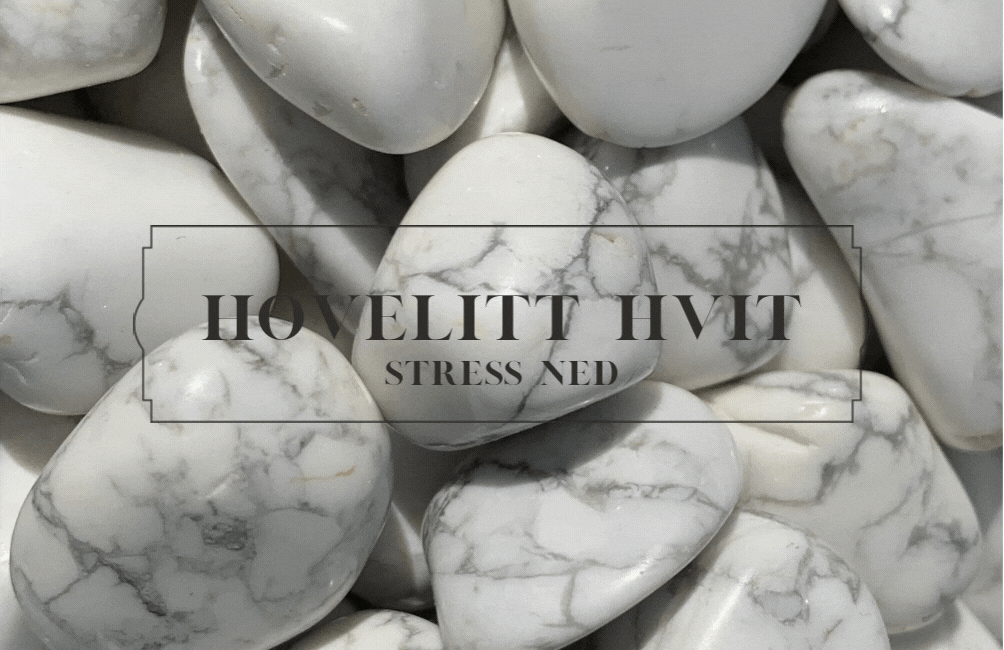 Armbånd 6mm Hvit Hovelitt