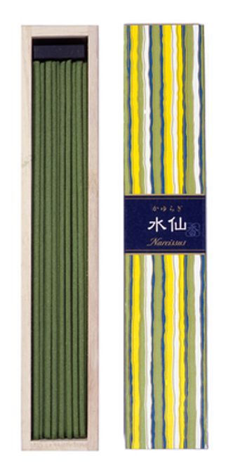Hovedbilde Kayuragi - Narcissus Pinne ...