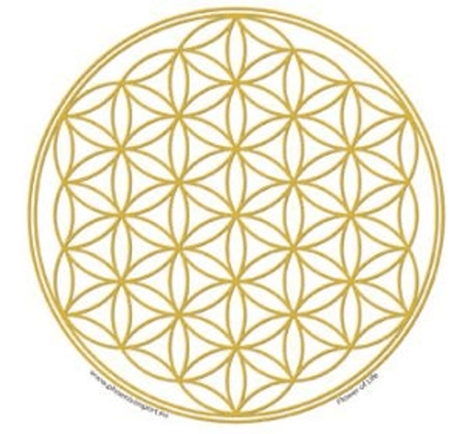 Hovedbilde Flower of life sticker