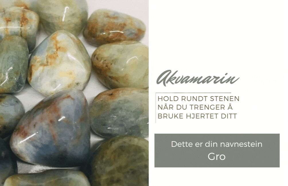 Hovedbilde Gro - Din Navnestein