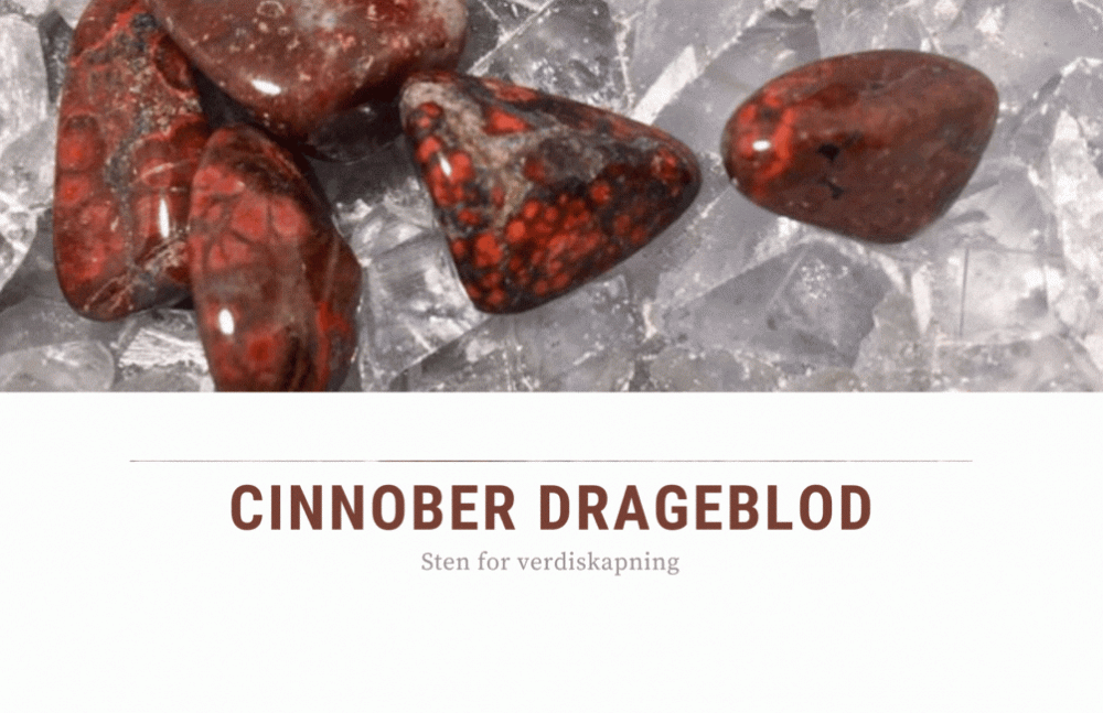 Hovedbilde Cinnober Drageblod