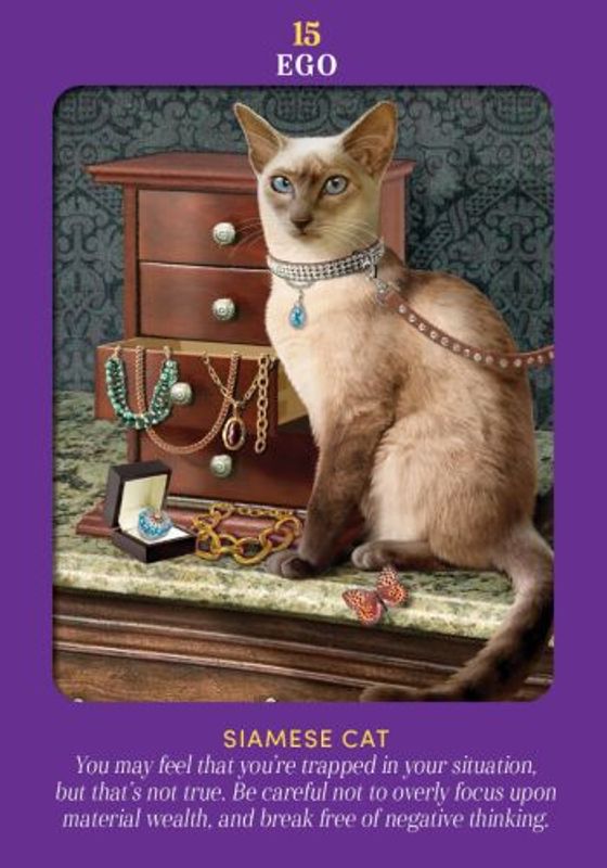 Animal Guides Tarot
