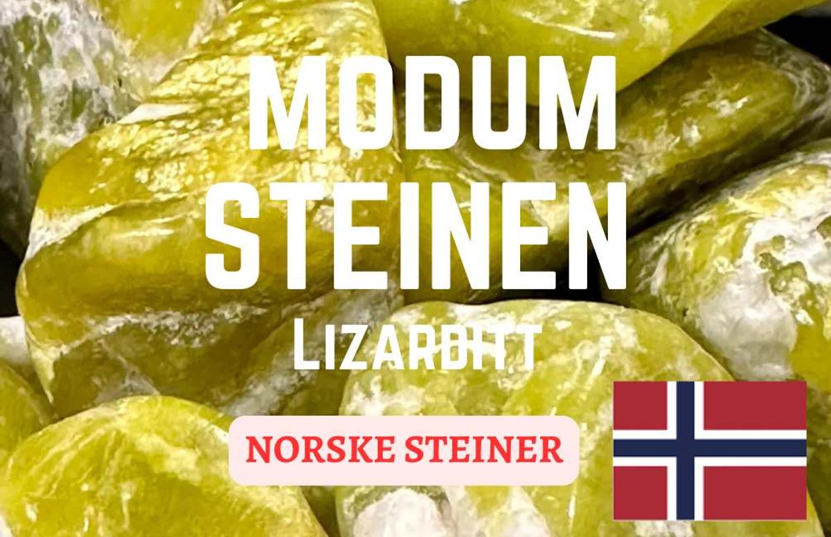 Modum Steinen - Lizarditt - Kun Steinkort