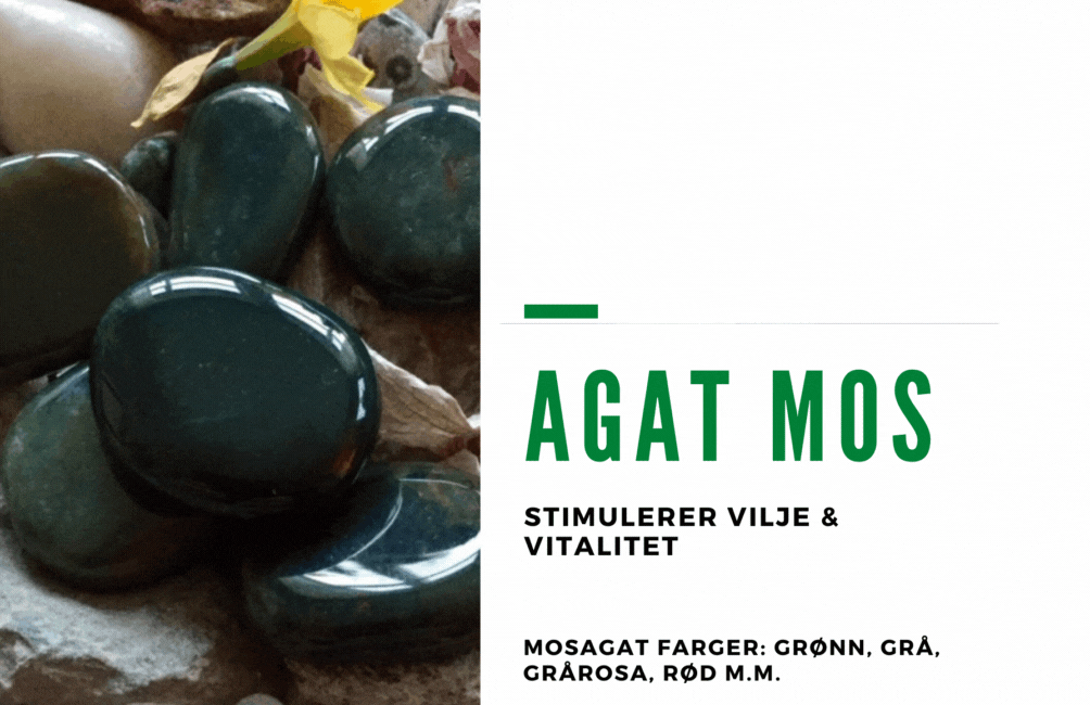 Armbånd Mos Agat 8mm