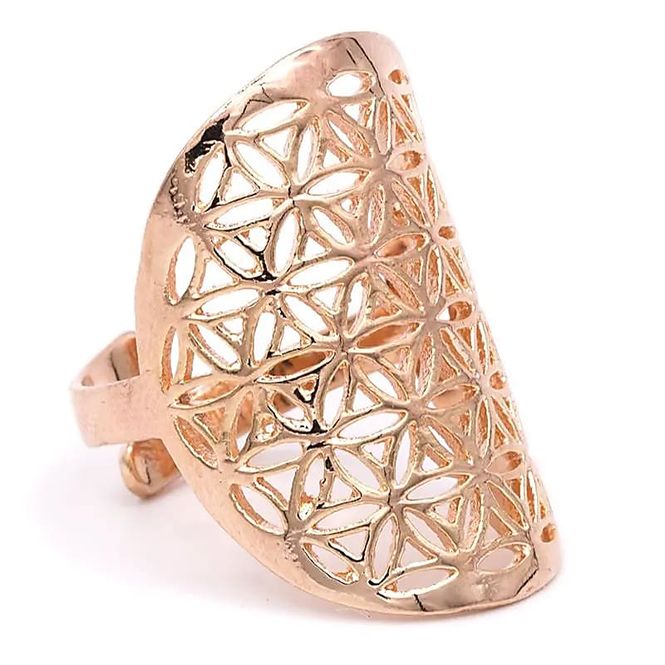 Hovedbilde Ring Flower of Life Messing ...