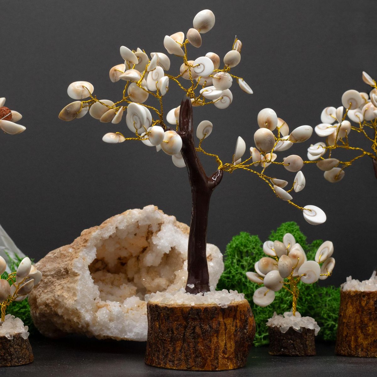 Gomati Tre 60 steiner