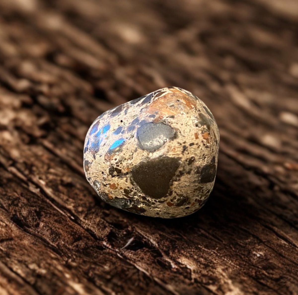 Konglomerat - The Pudding Stone 19gram - Kun 1 eksemplar